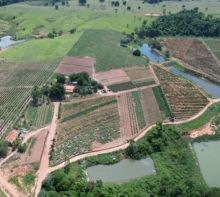 Venda CHÁCARAS Alta Floresta D´Oeste - RO